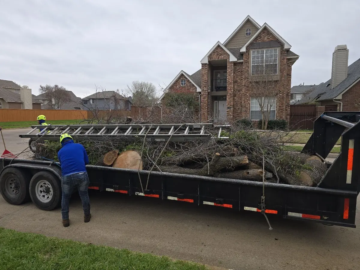 Expert Lot Clearing with proper safety equipment in Caliente